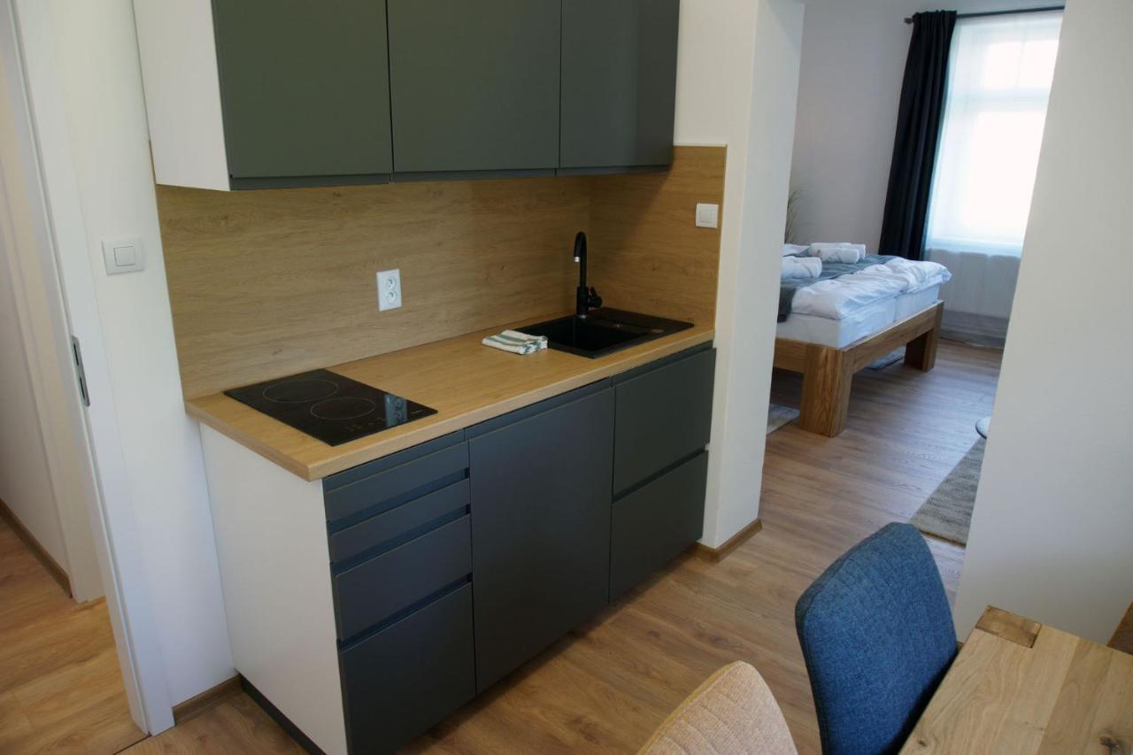 Apartmany Krásná Lípa מראה חיצוני תמונה